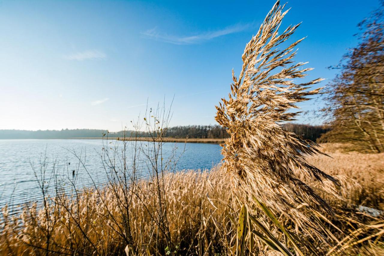 5 Sterne Ferienhaus Direkt Am See Mit Sauna-Kamin-Garten Krakow am See Zewnętrze zdjęcie